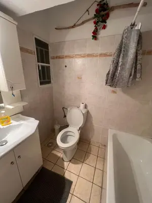 a bathroom with a toilet and a sink and a tub at Bohemian Athens home in Athens