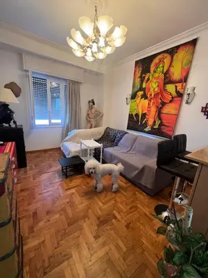 a dog is standing in a living room at Bohemian Athens home in Athens