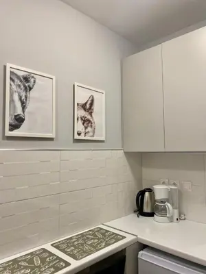 a kitchen with two pictures of a cat on the wall at City Core Studio in Athens