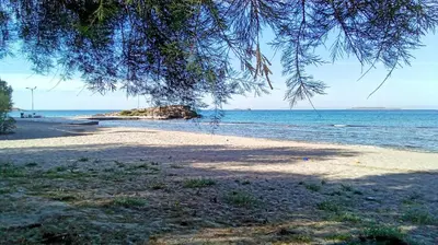 a sandy beach with a tree and the ocean at Manolia house near beach in Aghia Marina