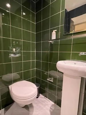 a green bathroom with a toilet and a sink at Mooeve Psyri Studios in Athens