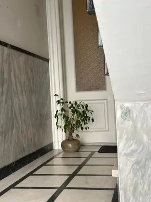 a potted plant sitting in front of a door at Timeless Thissio Home in Athens