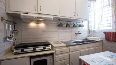 a small kitchen with a stove and a sink at Petaluda House 1 in Athens
