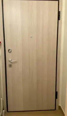 a wooden door with a silver handle in a room at Ilisia mini suite in Athens