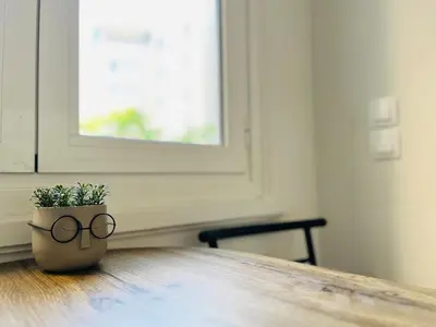a potted plant sitting on top of a wooden table at Acropolis Luxe Retreat in Athens