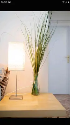 a table with a lamp and a vase with grass at Beautiful Victoria in Athens