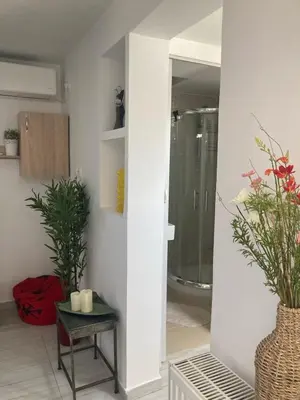 a room with a shower and a table with plants at Roof Garden Home in Athens