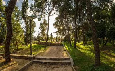 a path in a park with trees and a street light at 15' to Sea & Acropolis in Athens