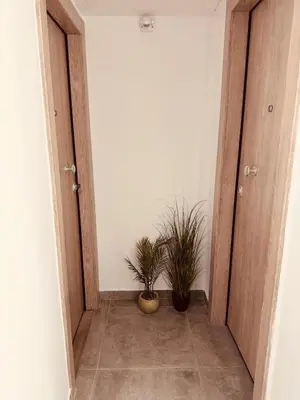 a hallway with two doors and two potted plants at Athens Praxitelous Vibes & Nest in Athens