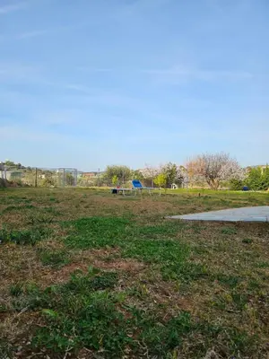 a park with a grass field and a path at Olive Ridge in Porto Rafti