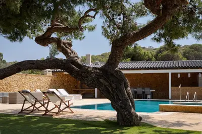 a tree with two chairs next to a swimming pool at Aeolia Villa Athenian Riviera in Anavissos
