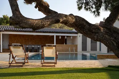 two chairs sitting under a tree next to a pool at Aeolia Villa Athenian Riviera in Anavissos