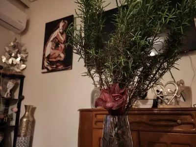 a vase filled with plants on top of a dresser at Cozy & Connected in Athens