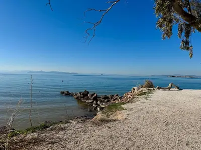 a group of birds on the shore of a body of water at Nomadic life-Elegant Apartment by Athens Riviera in Athens