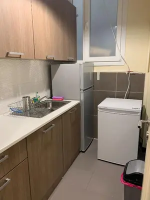 a small kitchen with a sink and a refrigerator at Athenian Stay Kolonaki Apartment in Athens