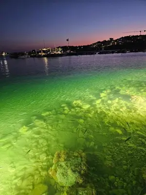 a large body of water with green algae at Vouliagmeni Suite 1 by Anothr in Athens