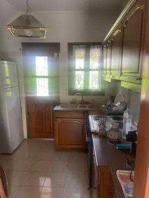 a kitchen with wooden cabinets and a white refrigerator at Lagonisi2025 in Kalívia Thorikoú