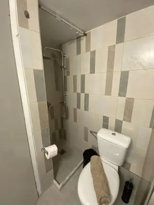 a bathroom with a toilet and a shower at Athens Riviera Seaview in Athens