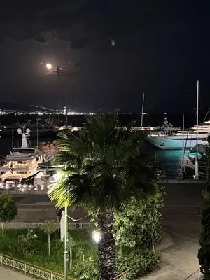 a palm tree in front of a marina at night at Zea Sea View Apartment in Piraeus