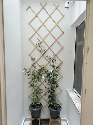 a wall with two potted plants in a room at Luxury Residency II Filolaou Blue in Athens