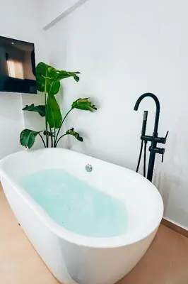 a bath tub with a plant in a bathroom at Luxury Superior Suite in Glyfada in Athens