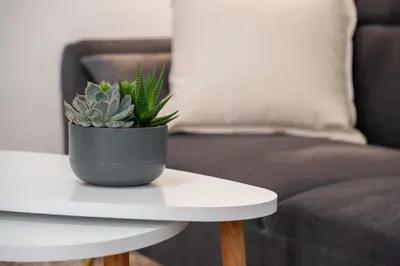 a potted plant sitting on a table next to a couch at The Psyri Collection in Athens
