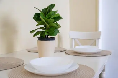 a plant in a white vase sitting on a table at The Psyri Collection in Athens