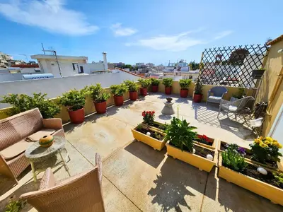 an apartment patio with potted plants on a roof at Roof Garden Loft in Athens