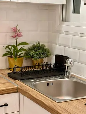 a kitchen sink with two potted plants on a counter at Bright and stylish Acropolis studio in Athens