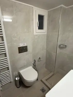 a bathroom with a toilet and a shower at Gaia Athens Apartment in Athens