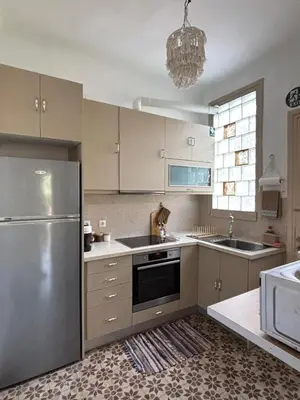 a kitchen with a stainless steel refrigerator and a sink at Plaka's Central, Cozy and Comfort Home in Athens