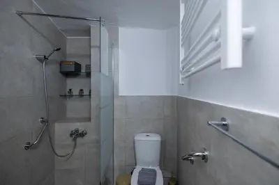 a bathroom with a shower and a toilet at Acropolis slow living apt - Ground floor in Athens