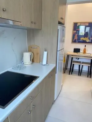 a kitchen with a counter top and a refrigerator at Neapoli Modern Apartment in Athens