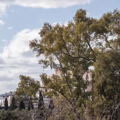 a view of the acropolis from behind a tree at Chic Urban Suite - Parthenon Viewpoint in Athens