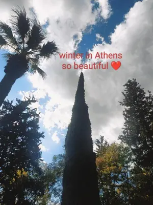 a picture of a tree with the words winter in athens so beautiful at The Blue Apartment in Athens