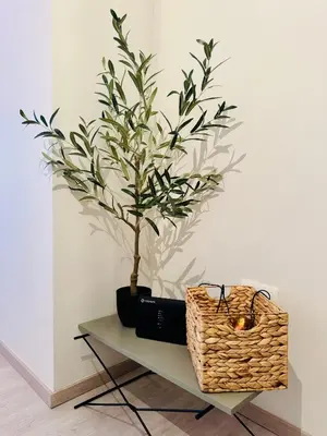 Gallery image of Home2 in Athens