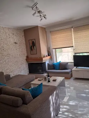 a living room with two couches and a fireplace at L D House Lagonisi in Lagonissi