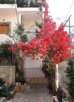 a bunch of red flowers hanging from a building at Modern & Lovely Apartment Downtown Near Acropolis in Athens