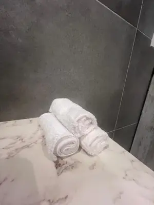 a roll of toilet paper sitting on a counter in a shower at Olvia 10 in Athens