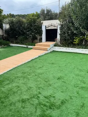 a yard with green grass and a garage at DianaHub in Artemida