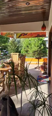 a patio with a table and a potted plant at Beautiful apartment in the center of Glyfada in Athens