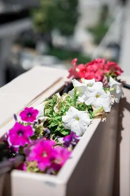 a bunch of flowers in a flower box at Kais eleven studio in Athens