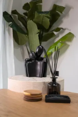 a plant and a black vase on a table at Unique & Stylish Living in Kipseli in Athens