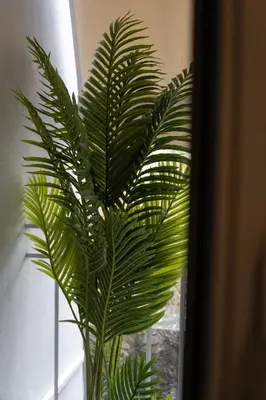 a green plant in a vase next to a window at Unique & Stylish Living in Kipseli in Athens