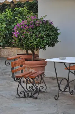 a potted plant sitting on a bench next to a table at The BloomYard in Markopoulo