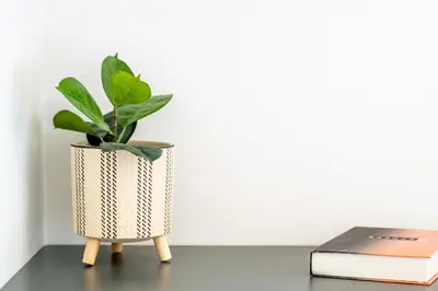 a plant sitting on a table next to a book at Glyfada Aelia Prestige in Athens
