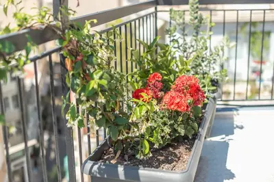 a planter with red flowers on a balcony at Peaceful Couples Apartment & Rooftop Access - Zen Hebe By Tessera in Athens