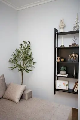 a living room with a couch and a tree on a shelf at Two Bedroom Flat In Athens in Athens