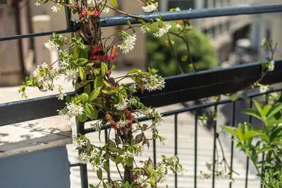 a plant on the railing of a balcony at Penthouse Zen Harmonia By Tessera in Athens