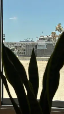 a plant in a window with a view of a building at 360 Athens Rooftop Nest, 300m from Metro Station, Acropolis View in Athens